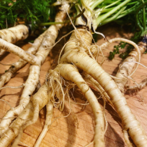 Экстракт плодов моркови дикой жидкий